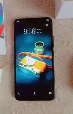 vivo