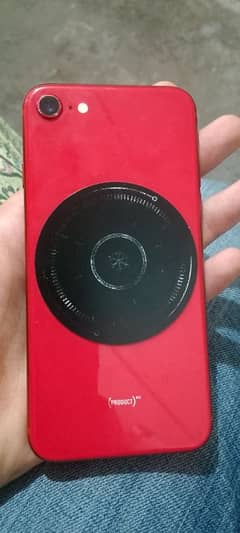 iphne