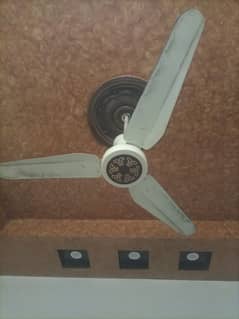 Celling Fan