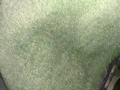 Grass carpet excellent condition 50mm
