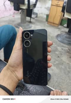 vivo