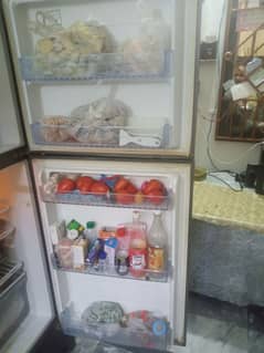 Hair refrigerator