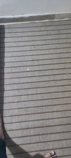 12x16 feet Room Carpet with 5mm thick Foam Sheet