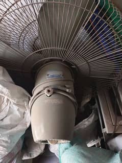 Younis fan in very good condition.