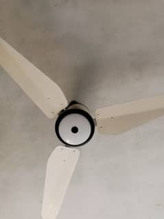 ceiling