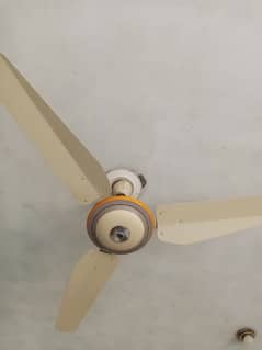ceiling fans available for sale