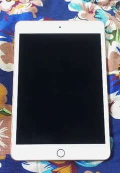 ipad mini 5