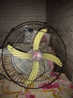 solar fan 12 warth