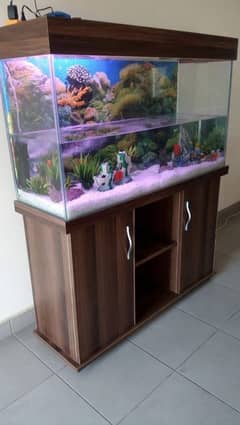 aquarium clean and making service