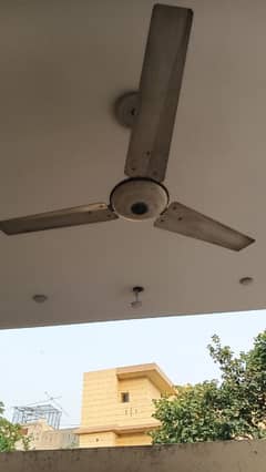 14 fan for sale