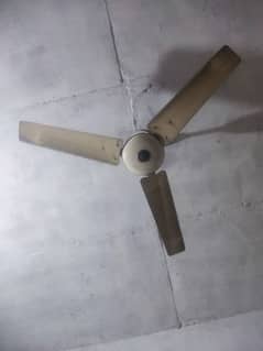 GFC