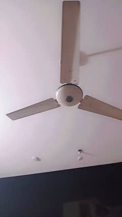 fan for sale
