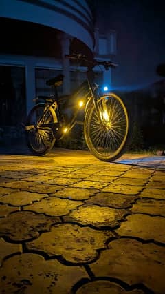 MOUNTAIN BICYCLE ALL CUSTOM MADE LIGHT EVERYTHING WORKING