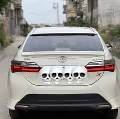 Totoyta corolla