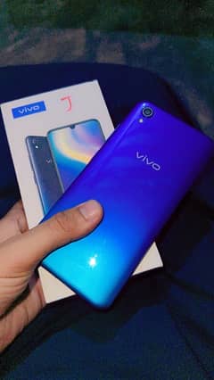 vivo