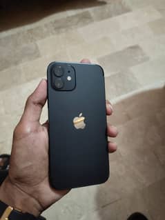 Iphone 12 factory