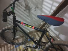 cycle 10/10 condition hai ok hai urgent sale