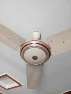 GFC
