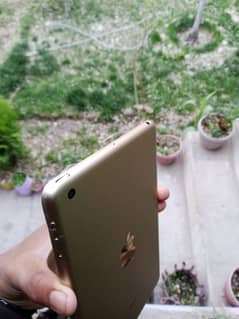 mini 3