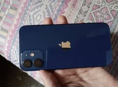 iPhone 12 mini jv