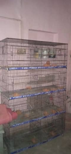8poriton cage size 2by 1.5 pr portion