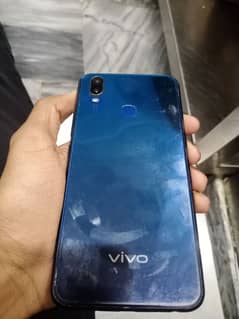 vivo