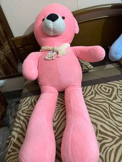 teddy bear look like new only use one time