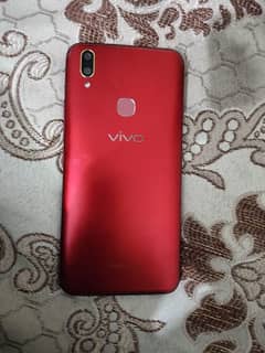 vivo