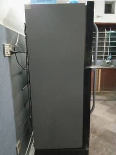 Haire Fridge