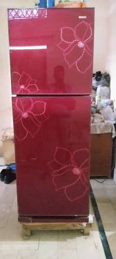 Orient Glass Door Refrigerator