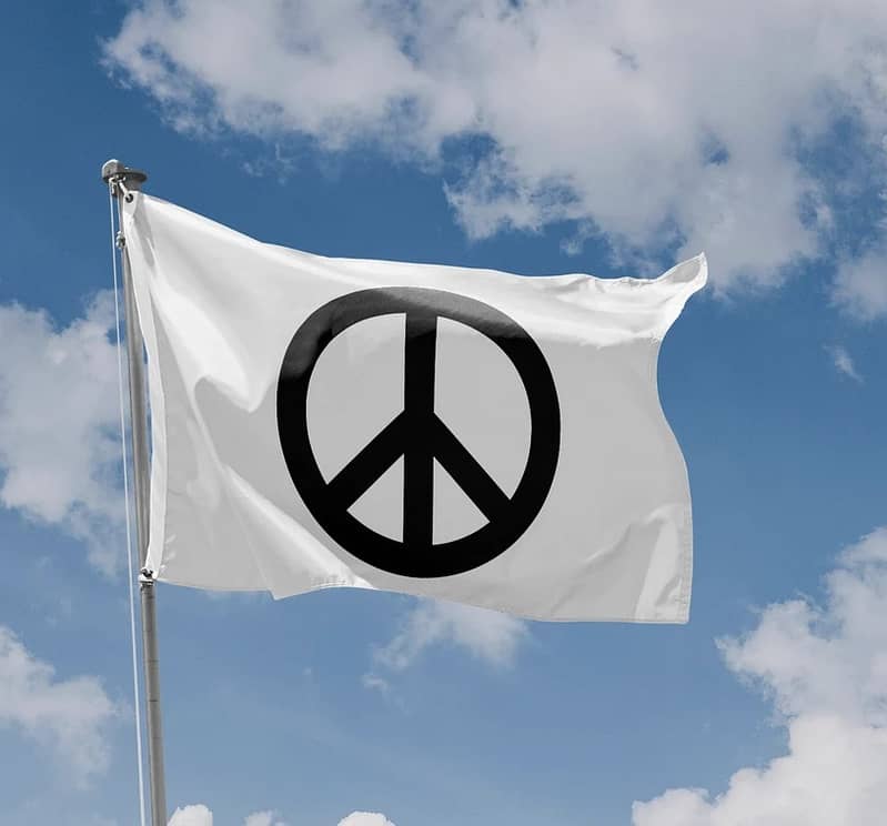 Office Flag & Pole | Embassy Flag | Events Flag | All Country Flag 14
