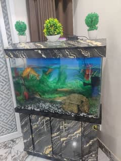 aquarium