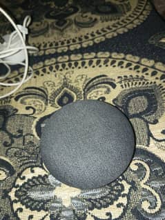 Google Nest Mini