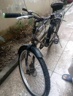 Typhoon Mountain bike