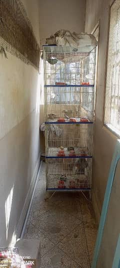 Sale Fixed Cage