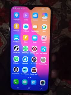 vivo
