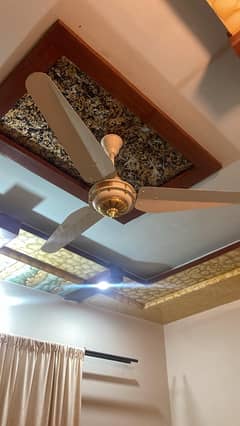 NS Inverter  fan 56“