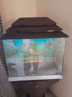 Fish Aquarium