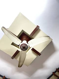 Royal Fan | Ceiling Fan for Sale Used