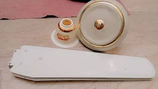 celling fans