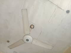 pak fans original copper motor 100 granty