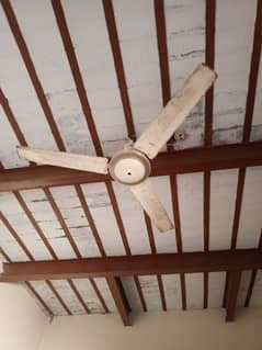 2 fan Bilkul ok new condition