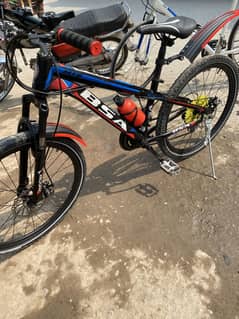 Bicycle