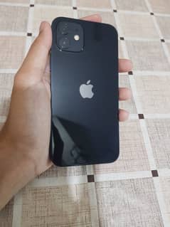 iPhone 12 64gb 10/10 (exchange possible)