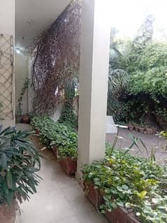 Kanal Single Story House For Rent Main Road Peco Road@200K