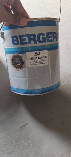Berger Green 3.64 litre