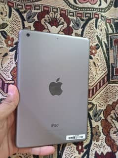 iPad mini 2