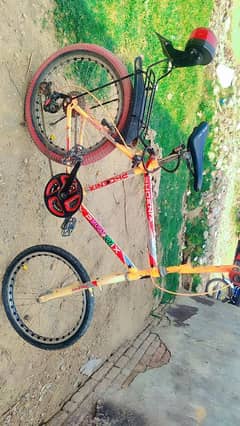 PHOENIX CYCLE