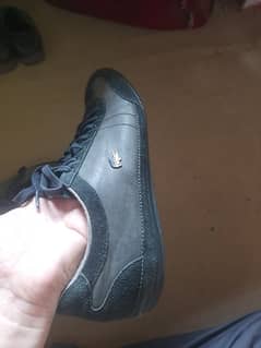 Lacoste brand shoes
