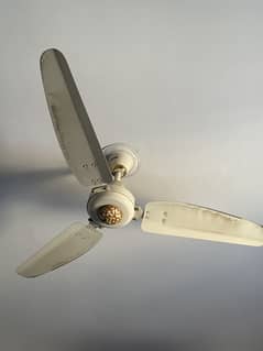 Royal Ceiling Fans 6 Pieces